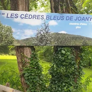  Guest house Les Cedres Bleus De Joany
